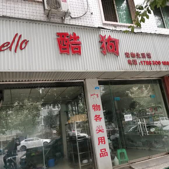 hello酷狗 宠物生活馆:眉山市东坡区东站客运中心站附近