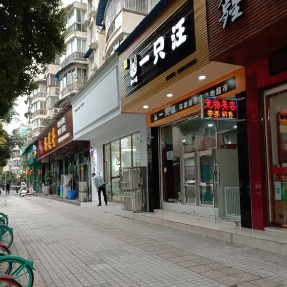 一只汪:眉山市东坡区激情广场附近