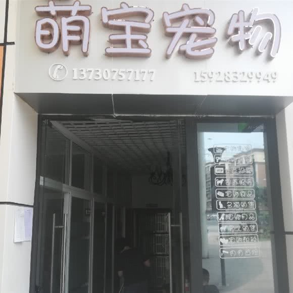萌宝宠物:宜宾市翠屏区下江北临港附近