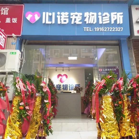 心诺宠物诊所:宜宾市翠屏区下江北临港附近