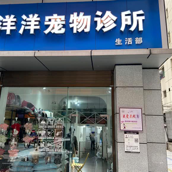 洋洋宠物诊所:宜宾市翠屏区钟鼓楼附近