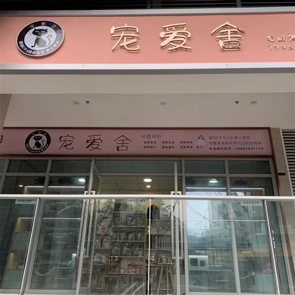 宠爱舍会儿猫舍:宜宾市叙州区叙州区附近