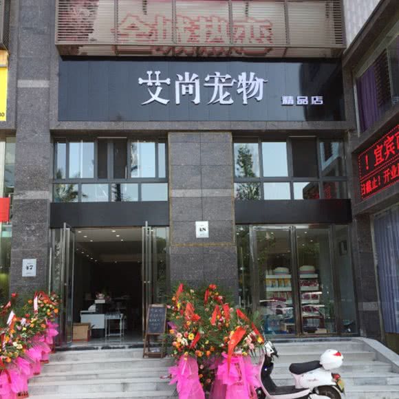 艾尚宠物精品店:宜宾市叙州区叙州区附近