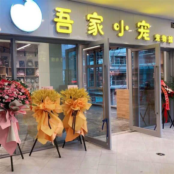 吾家小宠:宜宾市叙州区叙州区附近