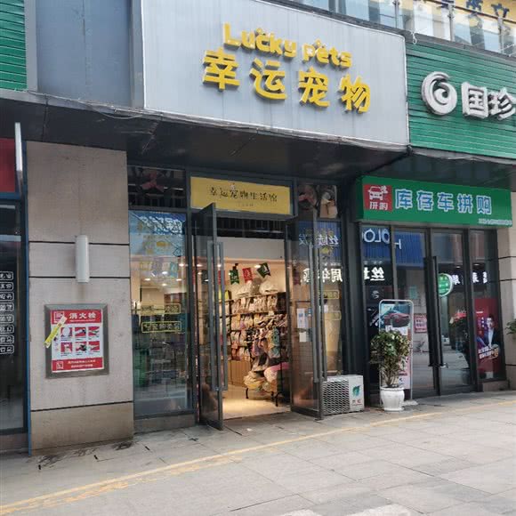 幸运宠物生活馆:宜宾市叙州区叙州区附近