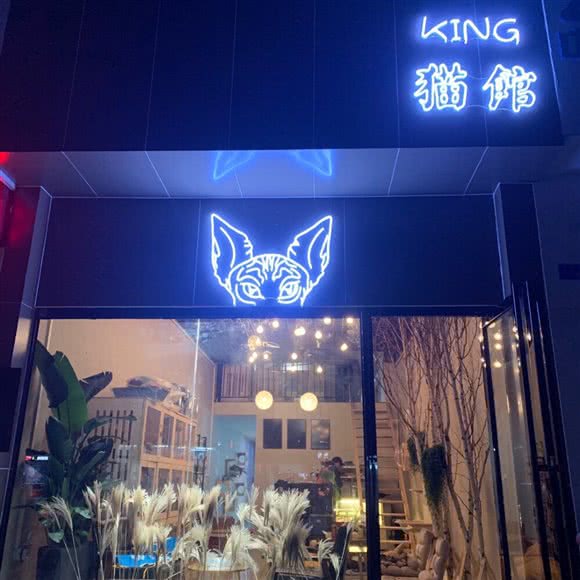 king猫馆:宜宾市叙州区叙州区附近
