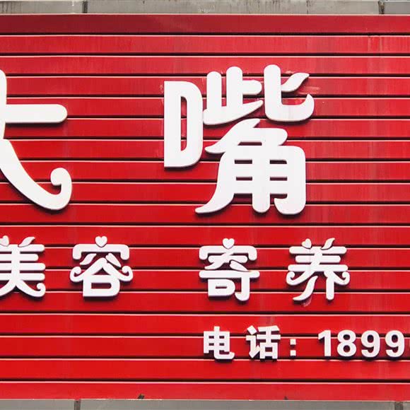 大嘴狗:宜宾市叙州区叙州区附近