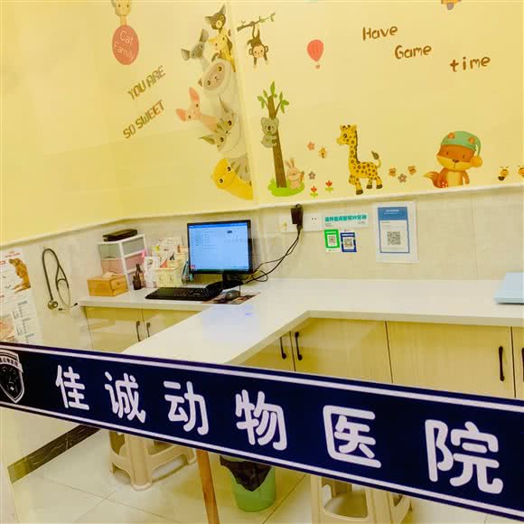 佳诚动物综合性宠物医院:宜宾市叙州区叙州区附近