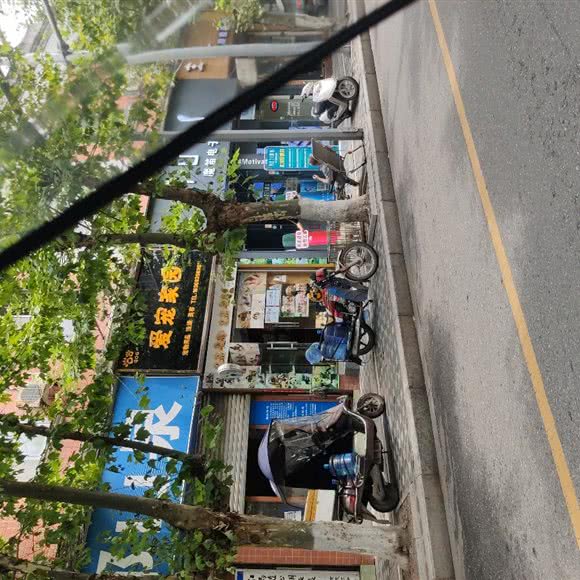 爱宠宠物寄养:雅安市雨城区假日广场附近