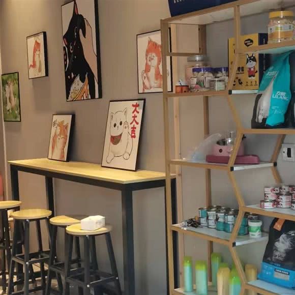 喵呜澡盆子(喵呜澡盆子宠物店):资阳市雁江区雁江万达广场附近