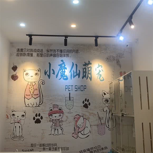 小魔仙萌宠(文昌阁店):贵阳市南明区亨特City Mall附近