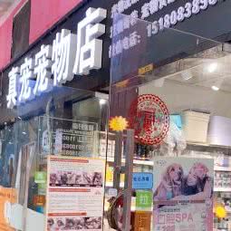 真宠宠物店:贵阳市南明区花果园附近