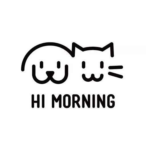 Hi Morning优质连锁宠物酒店:贵阳市南明区大十字附近