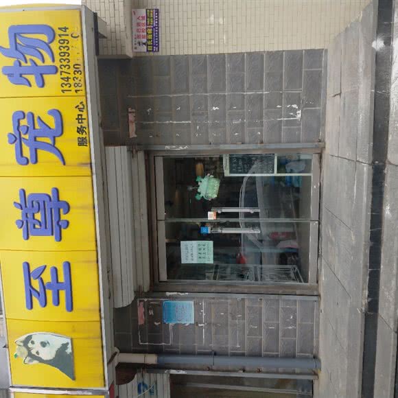 至尊狗狗:石家庄市裕华区大马庄园附近