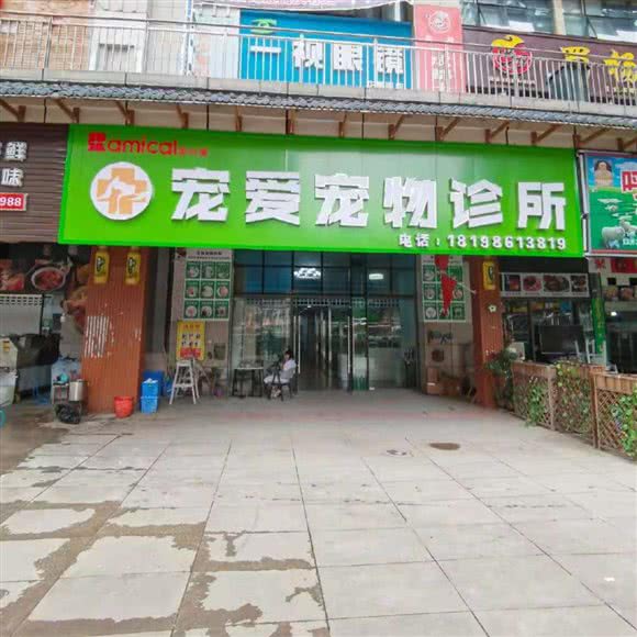 宠爱宠物诊所:贵阳市南明区花果园兰花广场附近
