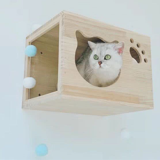 BETTY宠物:贵阳市云岩区大营坡附近
