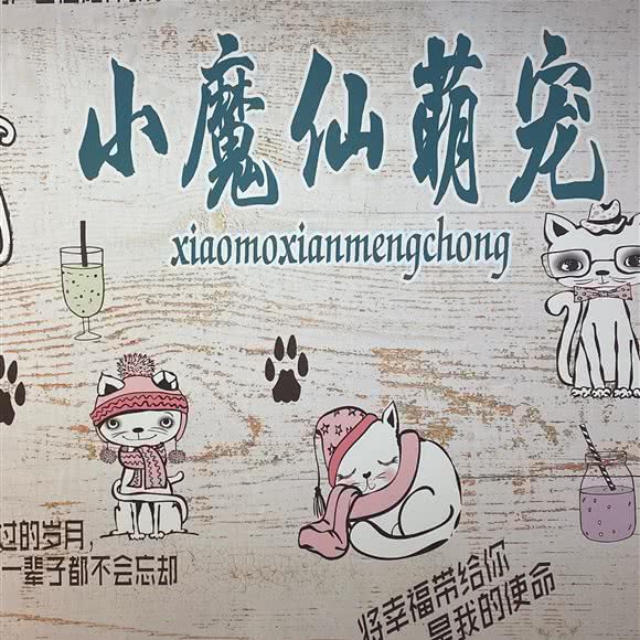 小魔仙萌宠宠物生活馆(未来方舟店):贵阳市云岩区未来方舟附近