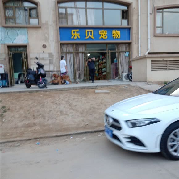 乐贝宠物:石家庄市裕华区东开发区附近