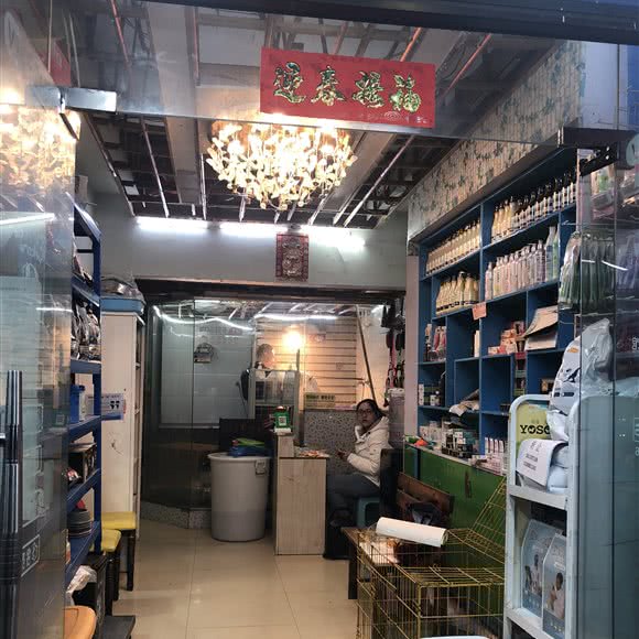 瑞兮狗狗生活馆:贵阳市花溪区朝阳村附近