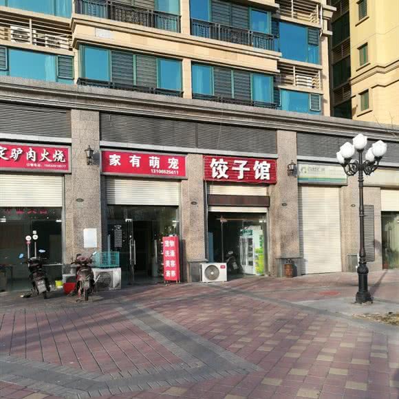 家有萌宠:石家庄市裕华区东开发区附近