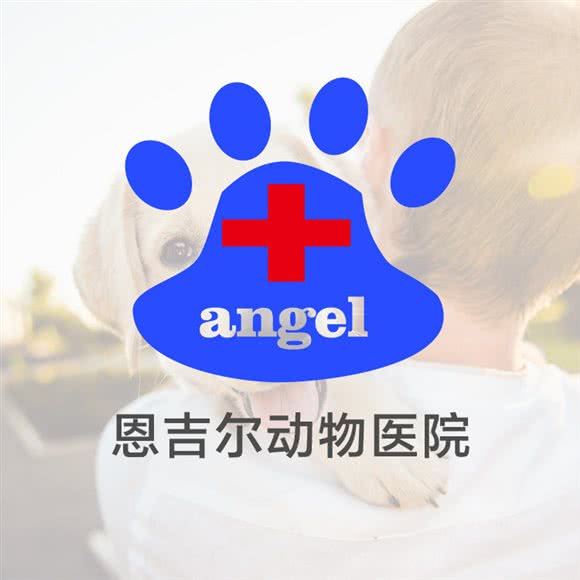 银川恩吉尔动物医院:贵阳市乌当区新添寨附近