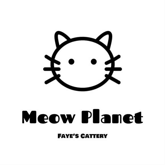 MeowPlanet 喵星球宠物馆:贵阳市观山湖区金阳新区世纪城附近