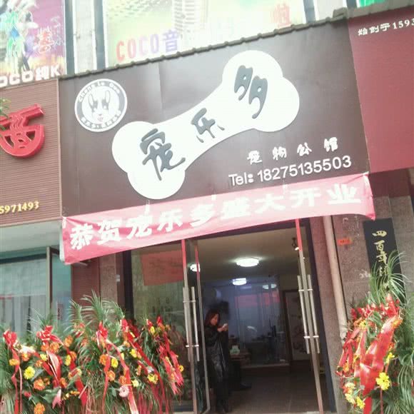 宠乐多宠物公馆:贵阳市观山湖区龙泉苑街附近