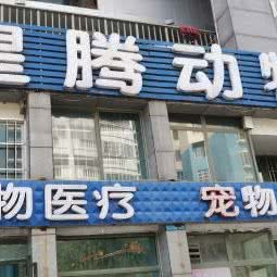 观山湖皇腾动物:贵阳市观山湖区诚信南路附近