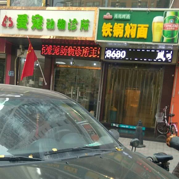 爱宠动物诊所:石家庄市裕华区东开发区附近