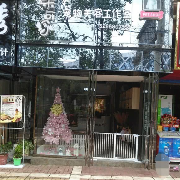 米可家宠物美容工作室:六盘水市钟山区凤池园附近