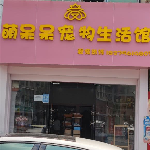 萌呆呆宠物生活馆:遵义市红花岗区海尔大道附近