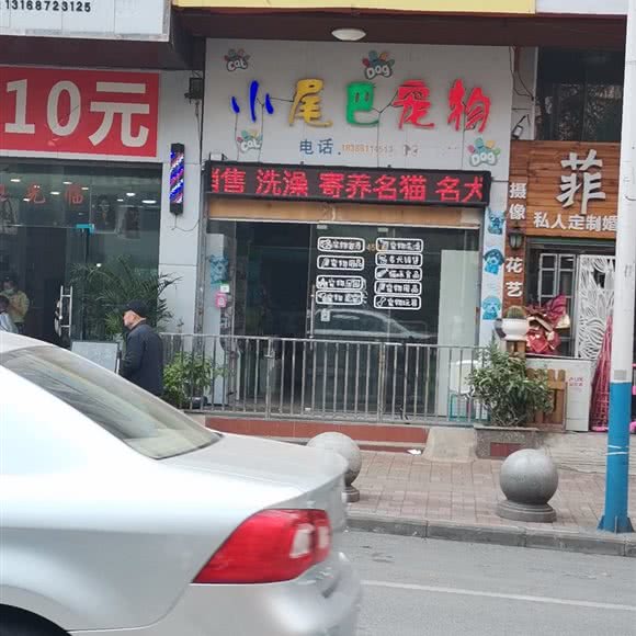 小尾巴宠物狗:遵义市红花岗区海尔大道附近