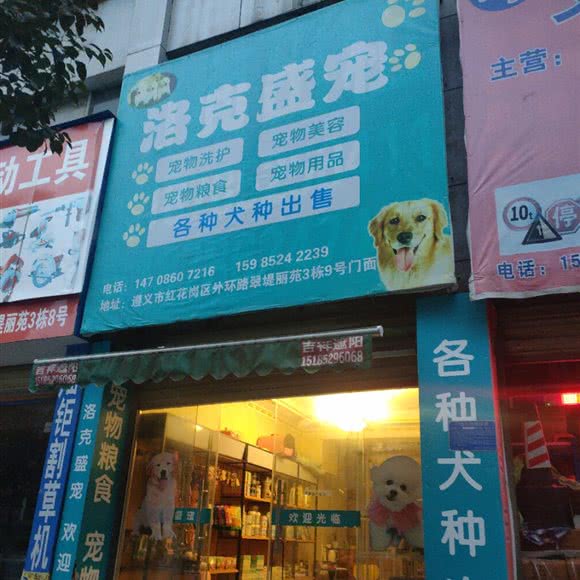 洛克盛宠:遵义市红花岗区外环路附近
