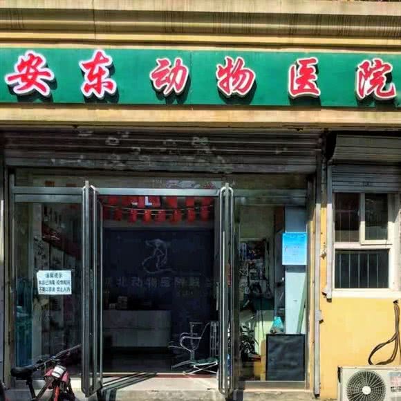 安东动物医院:石家庄市裕华区红楼商圈附近