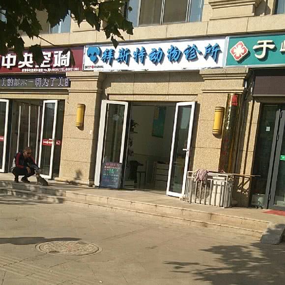 拜特曼动物诊所:石家庄市裕华区红楼商圈附近