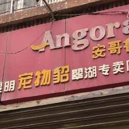 安哥鲁宠物貂翠湖路专卖店:昆明市五华区翠湖公园附近