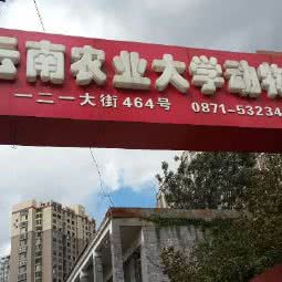 云南农业大学动物医院:昆明市五华区一二一大街附近