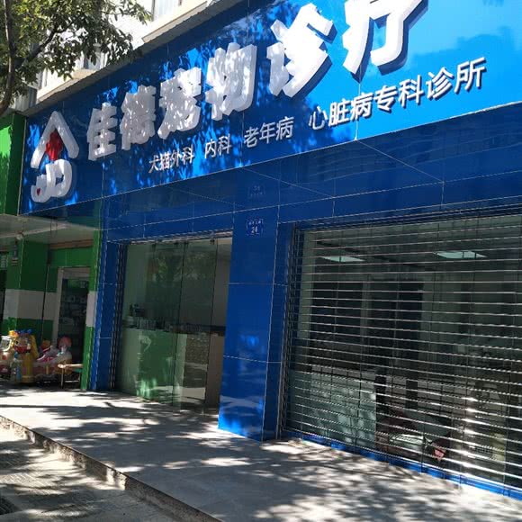 佳德宠物诊疗:昆明市五华区西坝附近
