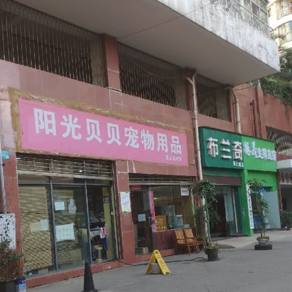 阳光贝贝宠物:昆明市五华区霖雨路附近