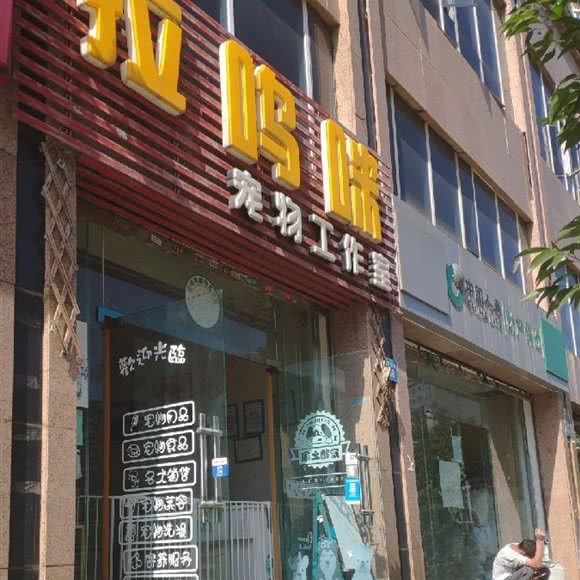 拉呜咪宠物工作室:昆明市五华区和谐世纪附近
