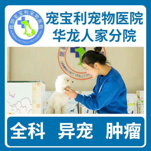 宠宝利宠物医院(华龙人家分院):昆明市五华区和谐世纪附近