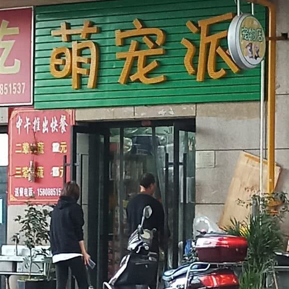 萌宠派:昆明市五华区梁家河附近