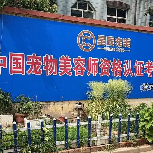 星辰宠美:石家庄市裕华区国际城附近