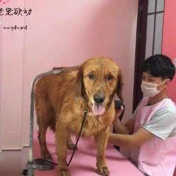 宠宠欲动宠物生活馆(西城时代店):昆明市五华区高新区附近