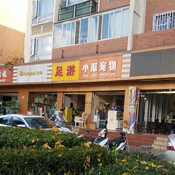 小瓜宠物:昆明市五华区高新区附近