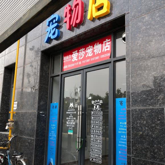 爱莎宠物店(金泰国际二期分店):昆明市五华区黄土坡附近