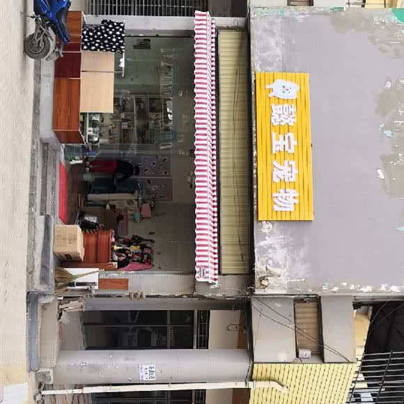 恭宝宠物:昆明市五华区高新商学院附近