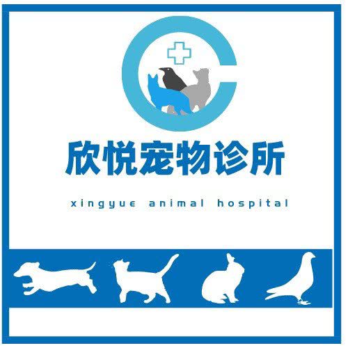 欣悦宠物医院:昆明市五华区高新商学院附近