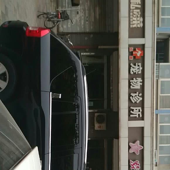 旭康宠物诊所:石家庄市裕华区国际城附近