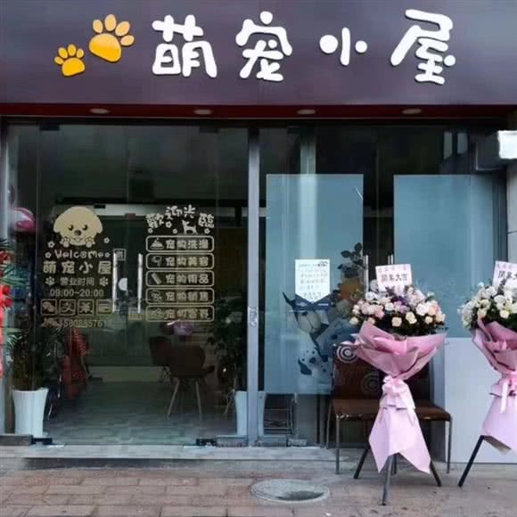 萌宠小屋:昆明市盘龙区人民东路附近